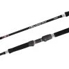 Overhead Rods Shimano Anarchy Overhead Fishing Rods